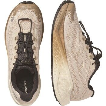 Salomon Zapatillas de running Aero Blaze 4 GRVL para mujer