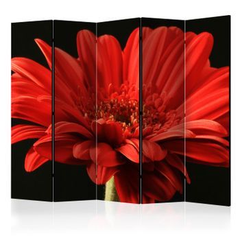 Biombo - Red Gerbera Flower Ii (225x172 Cm)
