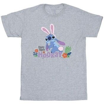 Disney Tops y Camisetas Hippity Hop para niño