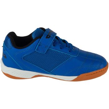 Lotto Zapatillas deporte Pacer K para niño