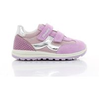primigi zapatillas 3855733 para nino