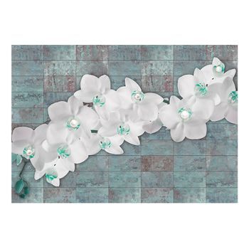 Papel Pintado 3d - Orchids With Pearls (350x245 Cm)