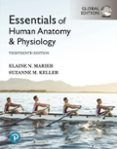 essentials of human anatomy  physiology global edition