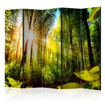 Biombo - Forest Hideout Ii (225x172 Cm)