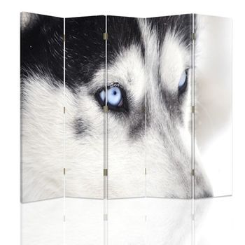 Biombo Wolf - Separador De Ambientes Cm. 180x180 (5 Paneles)