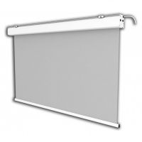 celexon expert pantalla de proyeccion electrica 250x250cm