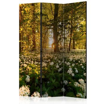Biombo - Forest Flora (135x172 Cm)
