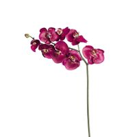 tallo de orquidea phalaenopsis artificial fucsia h87