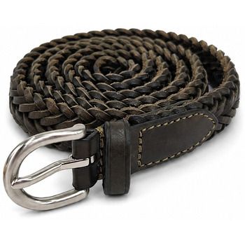 Dragon Alliance Cinturón 9Play Polo Tip 2Cm para mujer