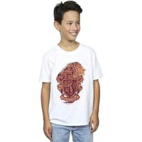 harry potter tops y camisetas gryffindor para nino