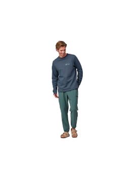 Sudadera de Montaña Patagonia Lw Unity Fitz Wildrise Crew Hombre