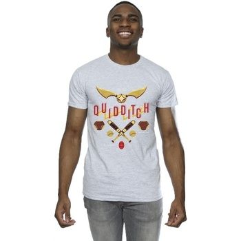 Harry Potter Camiseta Quidditch Golden Snitch para hombre