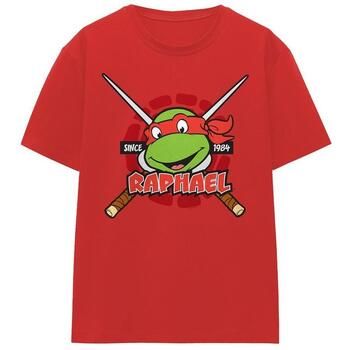 Teenage Mutant Ninja Turtles Camiseta Since 1984 para mujer