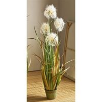 planta diente de leon 120 cms 120 cms