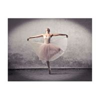papel pintado 3d - ballet poesia sin palabras 400x309 cm