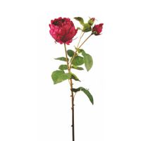 tallo de rosa cerrada artificial frambuesa h80