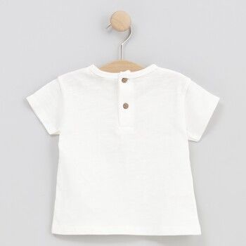 cotton fish Tops y Camisetas 90617 para niño