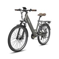 bicicleta electrica fafrees f26 pro - motor 250w bateria 36v15ah 26x175 pulgadas ruedas frenos de disco mecanicos - gris