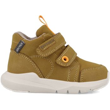 Garvalin Botines 251350 camel_c781 para niño