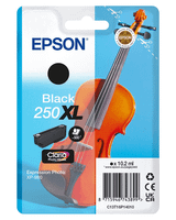 epson singlepack black 250xl ink