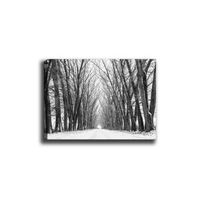 pintura decorativa lienzo canvas tablo-22 multicolor 70x100 cm