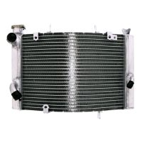 refrigerador motor triumph street triple 675 -12 agua