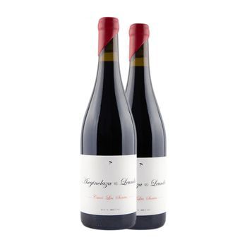 Aseginolaza & Leunda Vino Tinto Cuvée Las Santas 75 Cl 14% Vol. (pack De 2 Unidades)