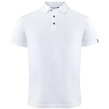 Harvest Polo Brookings para hombre
