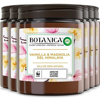 Botanica by Air wick Pack 6  Velas Aromáticas cera natural, aroma Vainilla y Magnolia del Himalaya