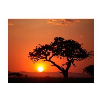 Papel Pintado 3d - África: Puesta Del Sol (250x193 Cm)