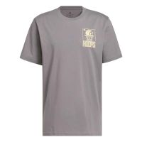 camiseta adidas world wide hoops gris