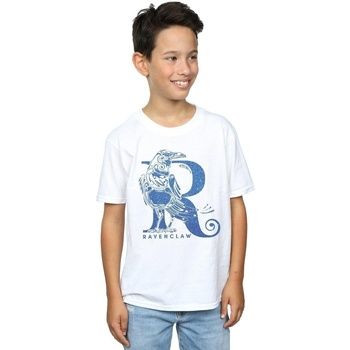 Harry Potter Tops y Camisetas Ravenclaw para niño