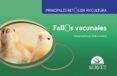 principales retos en avicultura fallos vacunales