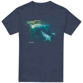Wildlife Camiseta Kelp Patrol para mujer
