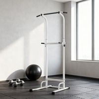 barra de dominadas de sportnow acero pp 915x975x1765-227cmblanco