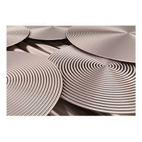 papel pintado 3d - copper spirals 300x210 cm