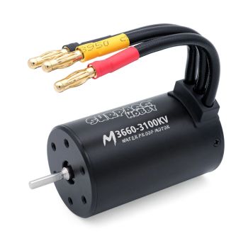 SURPASS HOBBY M3650 M3660 eje de 3.175mm conectores chapados en oro de 4.0mm motor sin escobillas completamente negro y