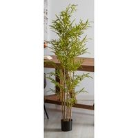planta bambu 165 cms 165 cms