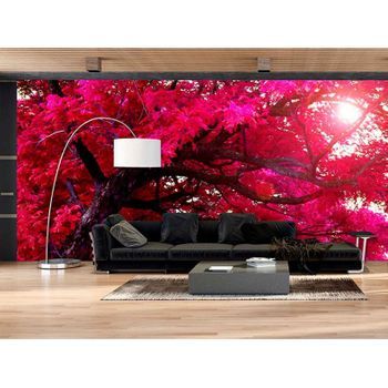 Fotomural Vinilo Árbol Ramas Rosas 350 X 250 Cm
