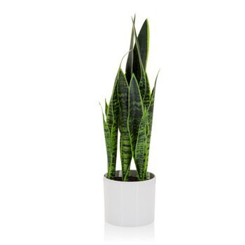 Planta Artificial / Árbol Artificial Sansevieria Plástico Verde Hjh Office