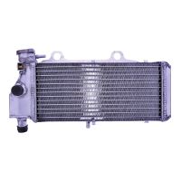 refrigerador motor bmw f 650 00-08 agua