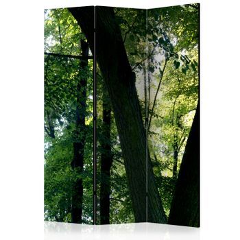 Biombo - Spring In The Park (135x172 Cm)