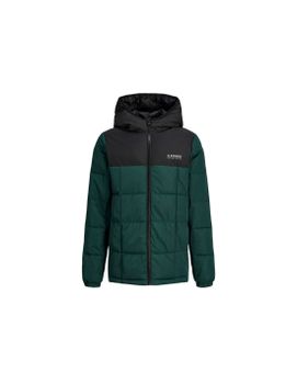 Chaqueta Jack&Jones Jjben Square Hood Jacket Jnr Hombre Magical Forest