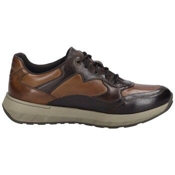 Josef Seibel Zapatos Hombre BLUCHER CAMERON-08 PIEL MARRON para hombre
