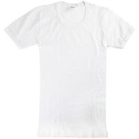 abanderado camiseta 0302 para nino
