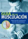 guia de la musculacion descripcion anatomica de los movimientos