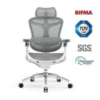 silla de oficina ergonomica sihoo doro c300 pro reposabrazos 6d soporte lumbar ajustable