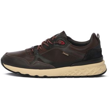 Pikolinos Deportivas Moda OLMO para hombre