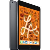 79 ipad mini 5 cellular 2019 - 256 gb space grey grey