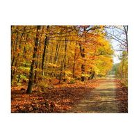 papel pintado 3d - beech forest 200x154 cm